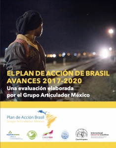 El Plan de Acción Brasil: avances 2017-2020 (2021) (ES)