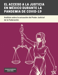 El acceso a la justicia  COVID-19 (2021) (ES)