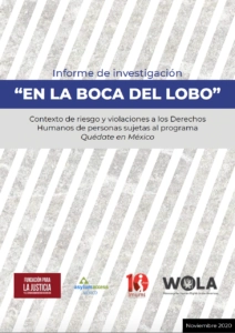 “En la Boca del Lobo”: Informe de  (2020) (ES)